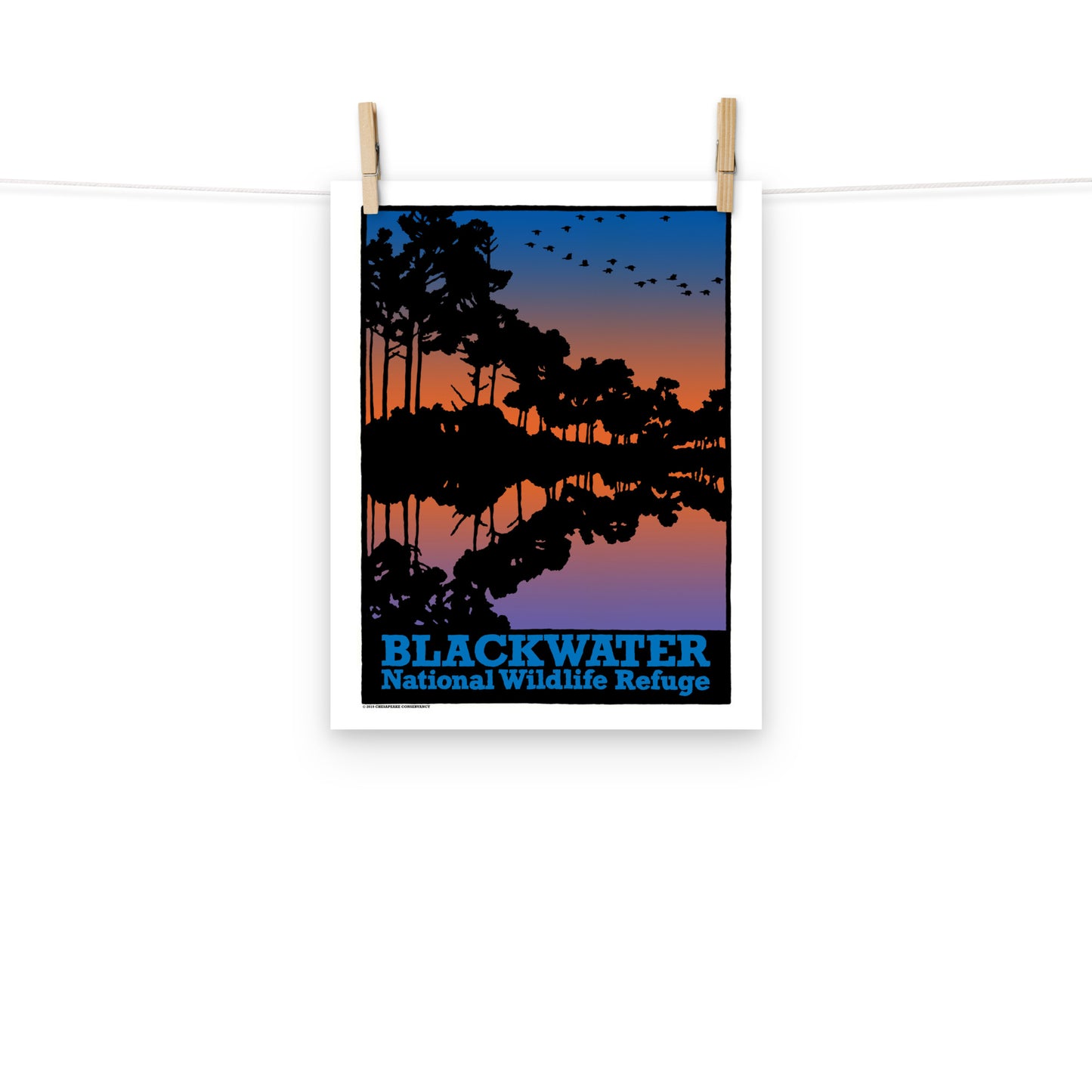 Blackwater NWR - Poster