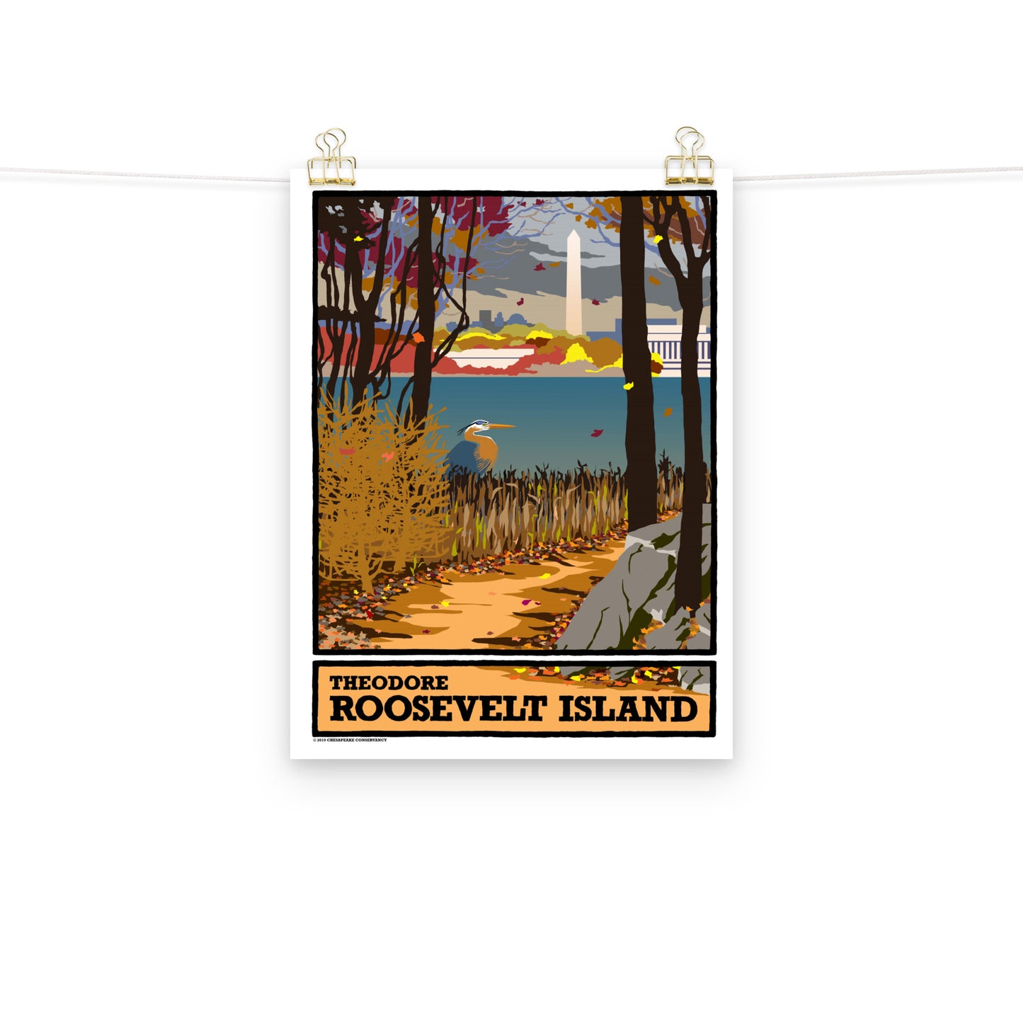 Theodore Roosevelt Island - Poster