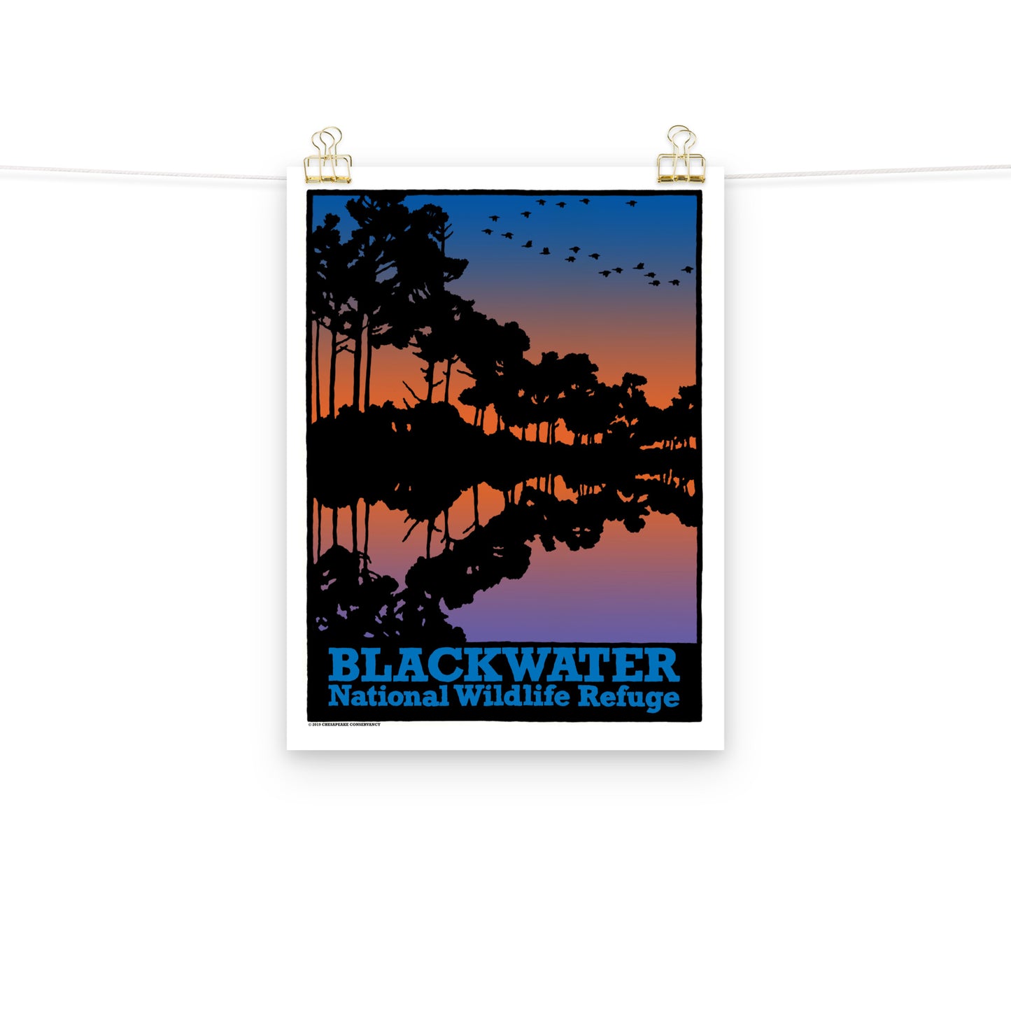 Blackwater NWR - Poster