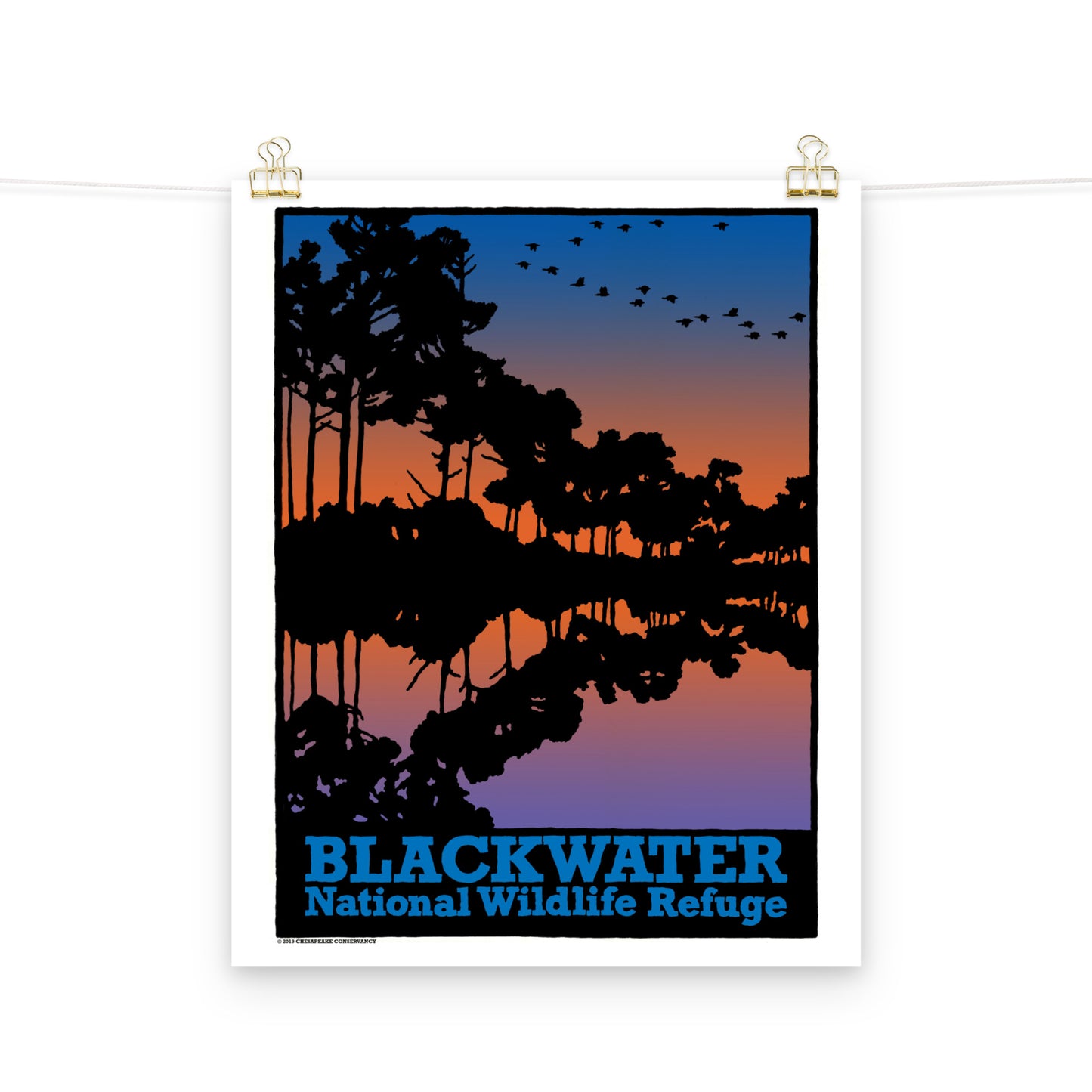 Blackwater NWR - Poster