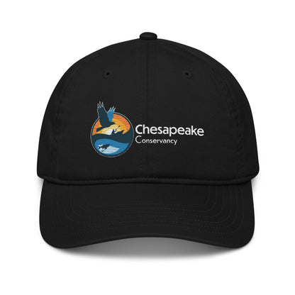 Logo - Organic Dad Hat